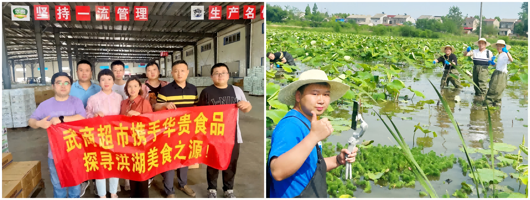 凯时游戏·(中国)集团