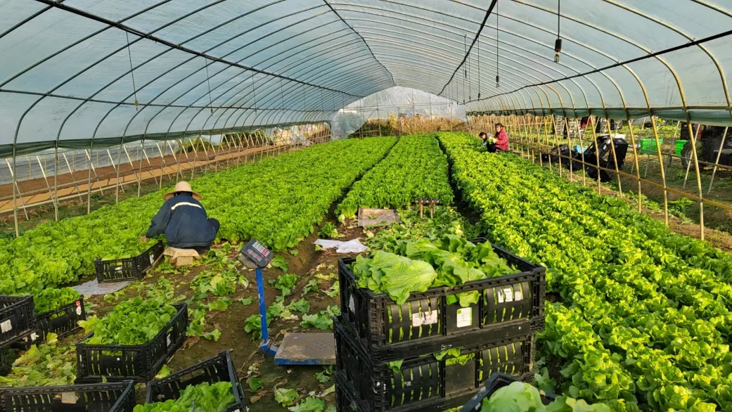 凯时游戏·(中国)集团